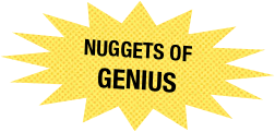 
       nuggets of
genius